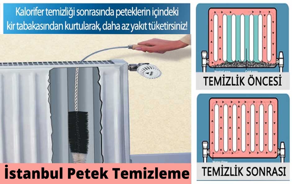 istanbul-petek-temizleme