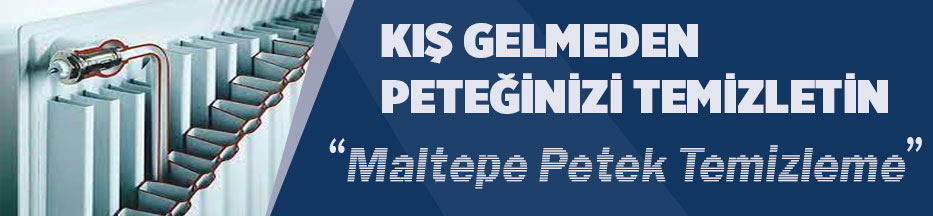 maltepe-petek-temizleme-banner