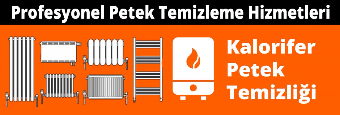 Profesyonel Petek Temizleme Hizmetleri Profesyonel petek temizleme hizmeti